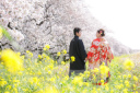 【2024年桜ロケーションフォト】ご予約受付開始♪