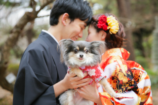 ペットとの撮影はミルフィーユへお任せ下さい♪