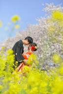 桜フォトご予約開始しています♪