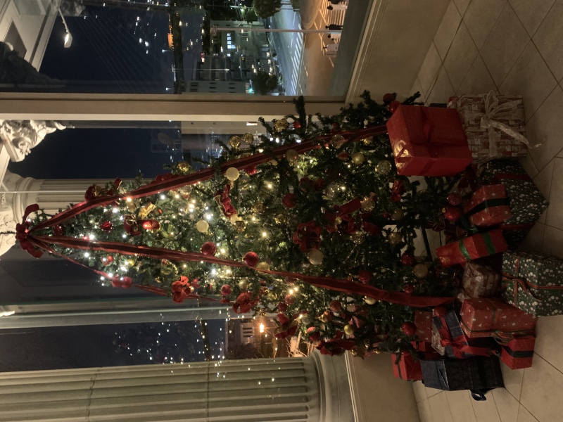 クリスマスが今年もやってきます☆*