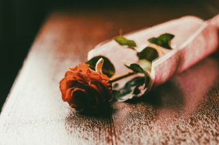 寒さが続きます❅°.。°.。❅