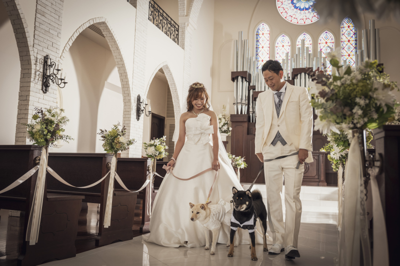 ドナルドドレスで愛犬と撮影