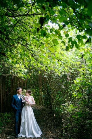 前浜ビーチ近くの林道写真