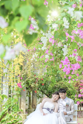  【撮影スポット紹介】+:-:+:-:ユートピアファーム宮古島+:-:+:-: