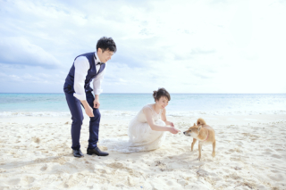 +:-:+:-:ワンちゃんとのご撮影+:-:+:-: