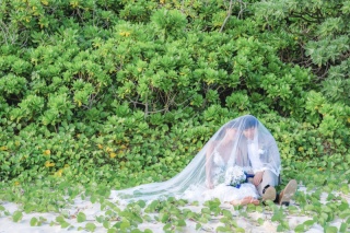 【撮影ポーズ】+:-:+:-:グリーン撮影+:-:+:-: