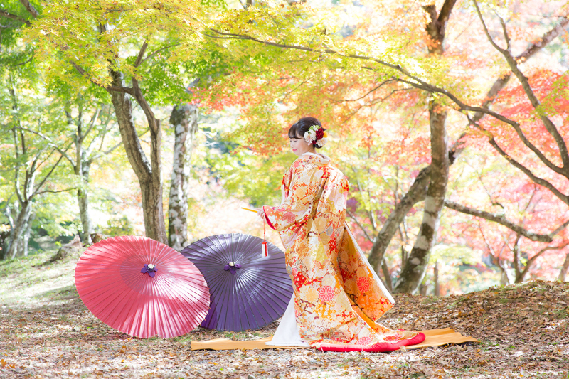 そろそろ紅葉ロケはいかがですか??