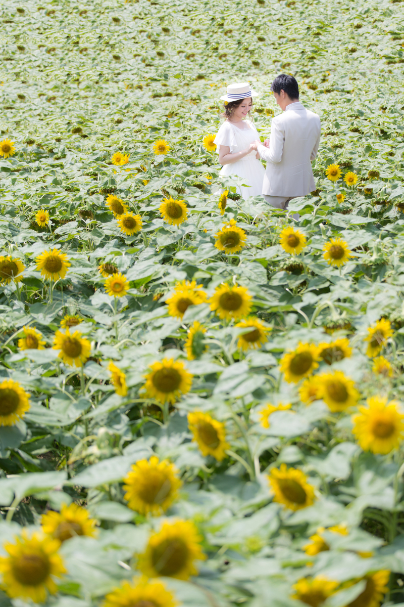 夏のロケーションはひまわりで♡