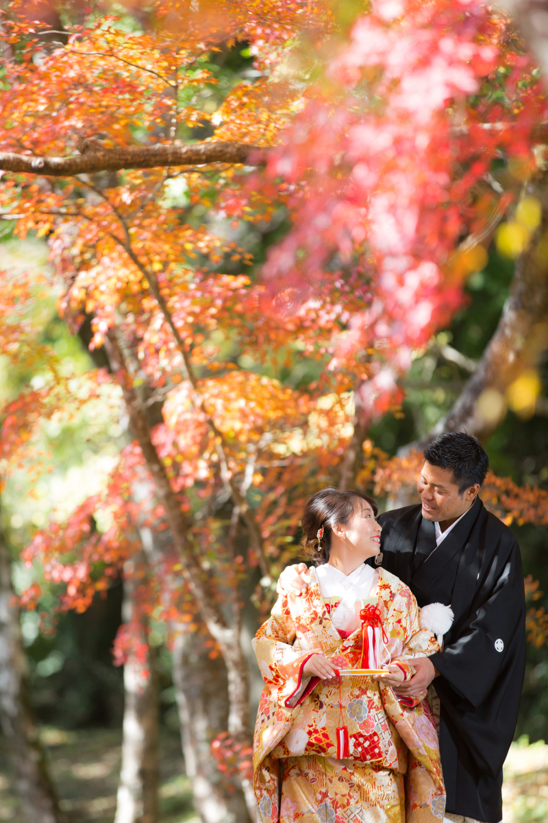 そろそろ紅葉ロケはいかがですか??