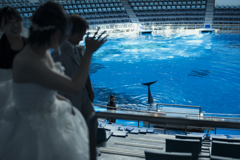 SWITCH東京プレゼンツ、イルカタッチコレクション♪