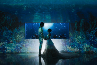 シルエット写真