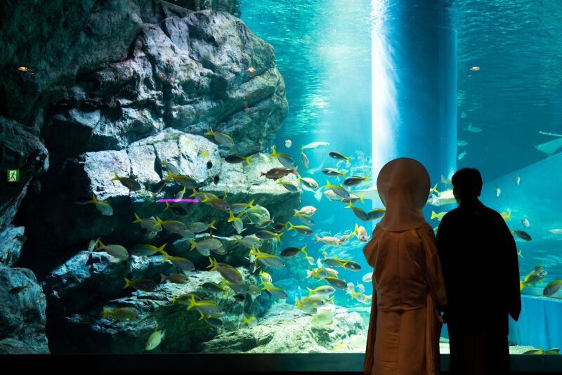 撮影レポートを更新しました!@アクアパーク品川