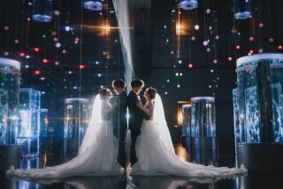 撮影レポートを更新しました!@アクアパーク品川