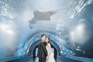 撮影レポートを更新しました！