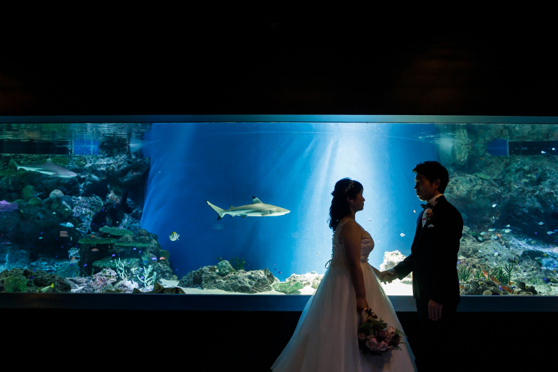 AQUA PARK品川で魚たちに祝福されながら幻想的な撮影を♪