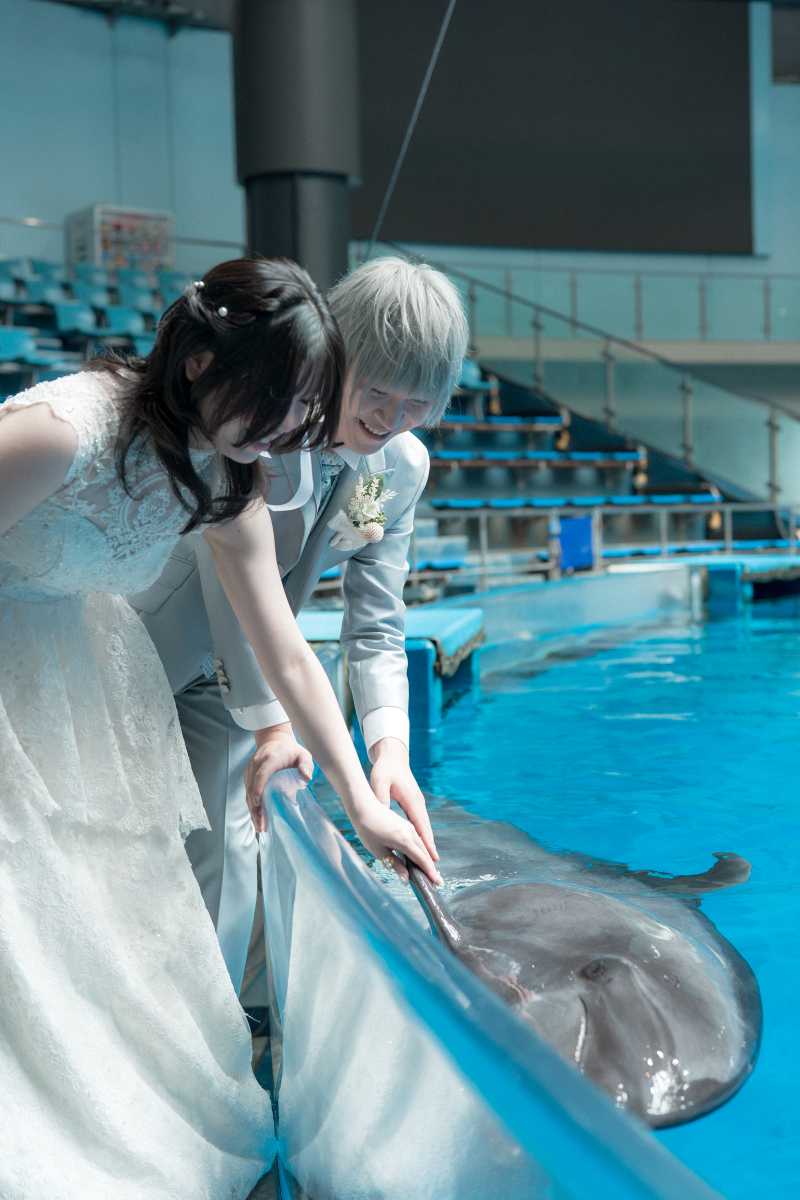 SWITCH東京プレゼンツ、イルカタッチコレクション♪