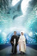 撮影レポートを更新しました!@アクアパーク品川