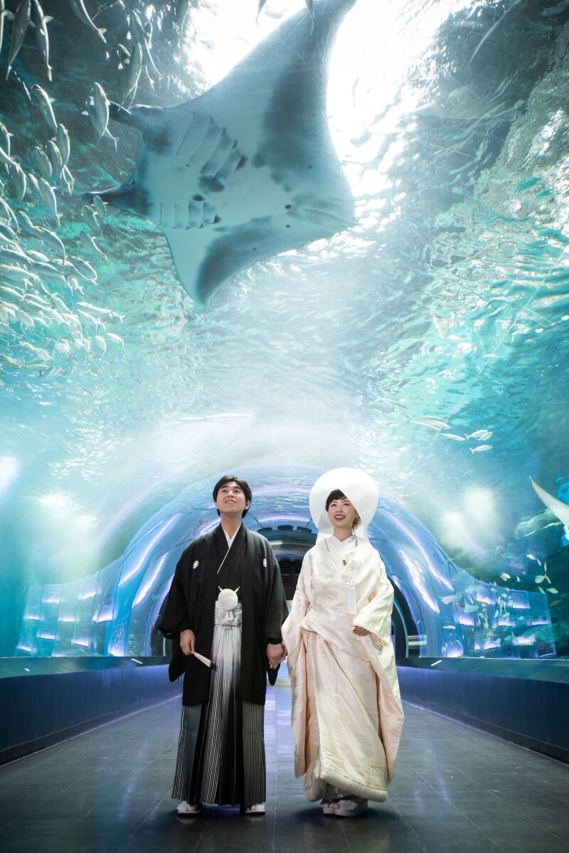 撮影レポートを更新しました!@アクアパーク品川