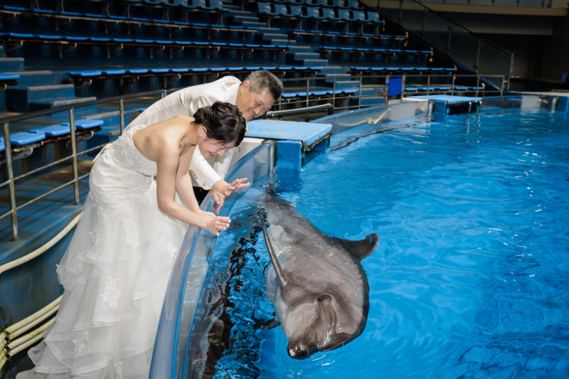 SWITCH東京プレゼンツ、イルカタッチコレクション♪