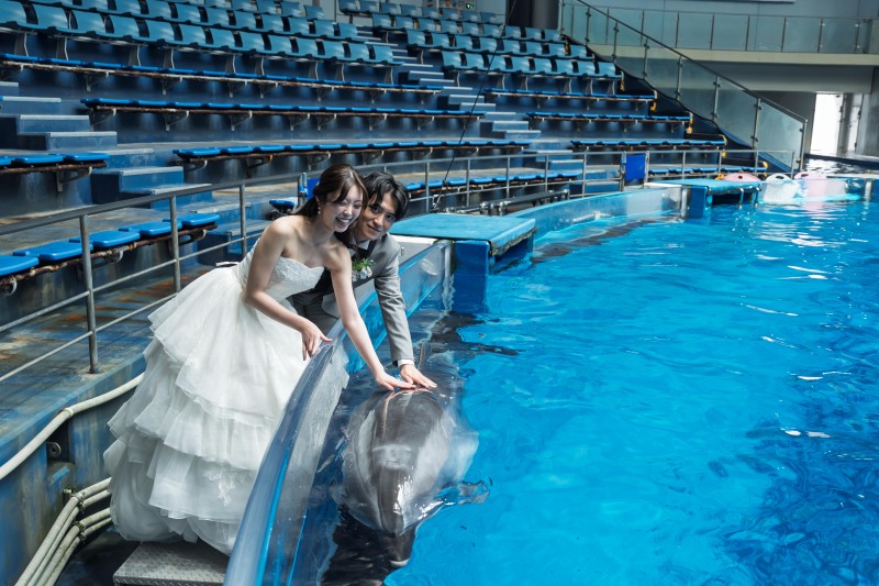 SWITCH東京プレゼンツ、イルカタッチコレクション♪