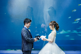 撮影レポートを更新しました!@アクアパーク品川+和装スタジオ