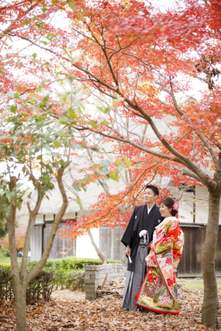 紅葉撮影＋スタジオ撮影は如何ですか？