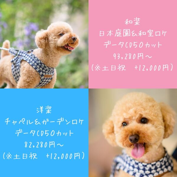 ☆ワンちゃんと一緒☆ワンちゃんのソロ撮影データも入ったプランが新登場!