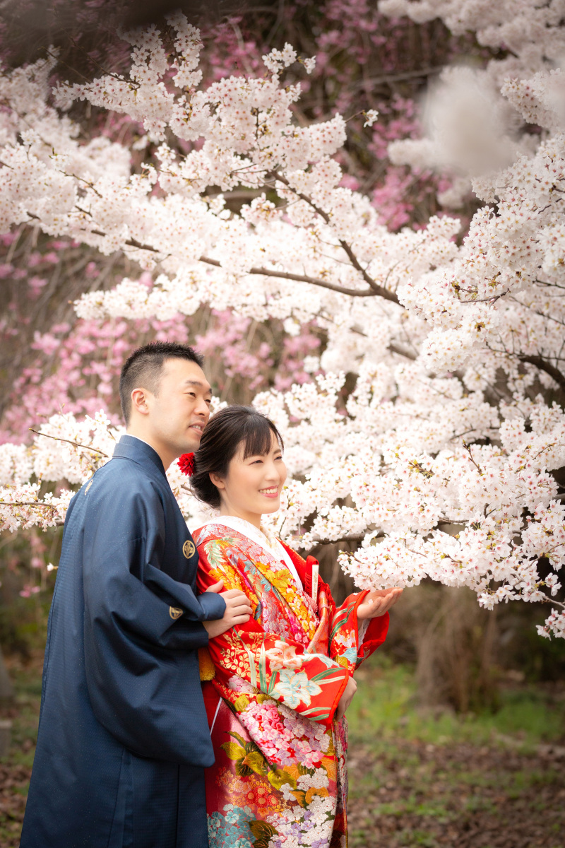 満開の桜の木の下で❀和装2着ウエディング