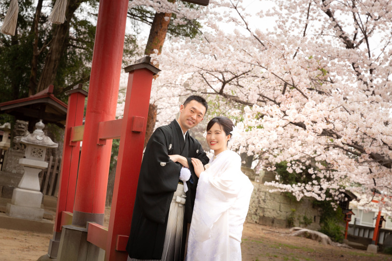 満開の桜の木の下で❀和装2着ウエディング