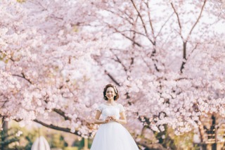 3/20まで!桜キャンペーンのお知らせ!