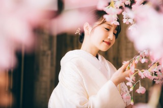 今のシーズンにぴったり!スタジオで桜撮影も♪