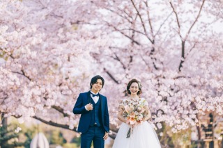 桜早割プランのご案内