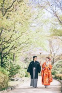 和装ロケのご紹介【大仙日本庭園】