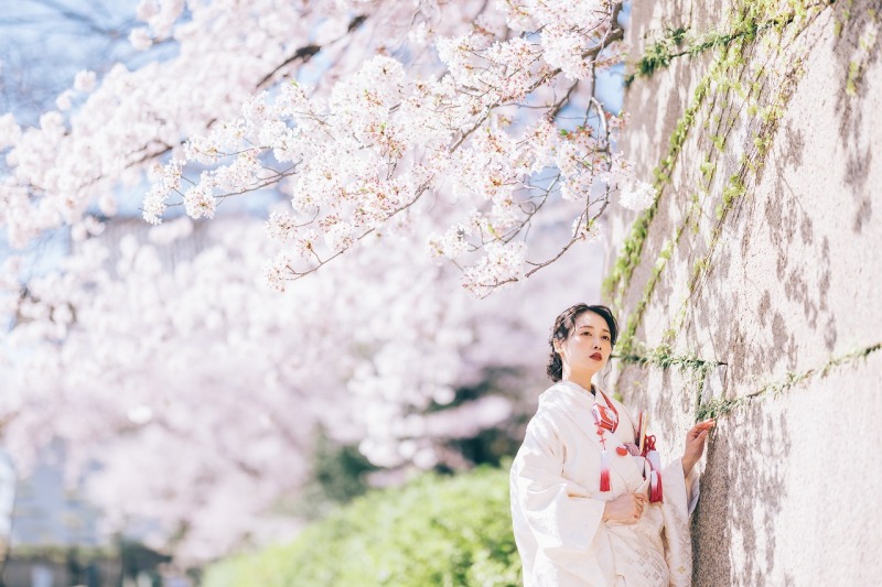 桜の開花シーズンに合わせてロケ撮はいかがですか