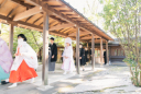 あざらし結婚式　神社のまとめ