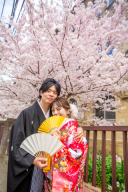 さくら開花予報 京都