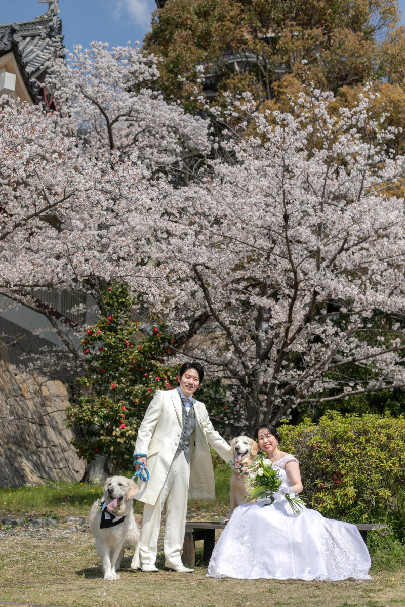 各種撮影お待ちしております