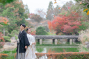 10月なりました! 3月は河津桜プラン