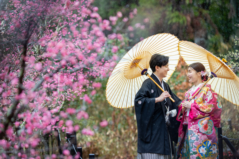 １０周年企画！