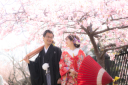 令和3年春の桜撮影会 感謝です。河津桜からソメイヨシノ そして今季面白大賞