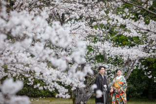 桜の日にあざ婚