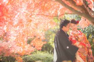 秋撮影予約受付中!