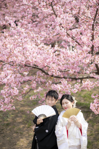 直前予約OK 桜ロケまだ空いている日ありますよ！　マンボウ解除万歳記念も