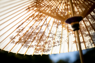 あざらし堂はどこにあるの? アクセスについて