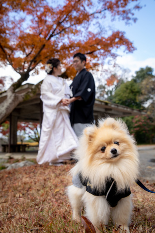 わんちゃんねこちゃんも一緒に　２０２１　秋