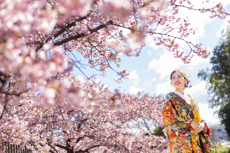 3月の河津桜 または梅