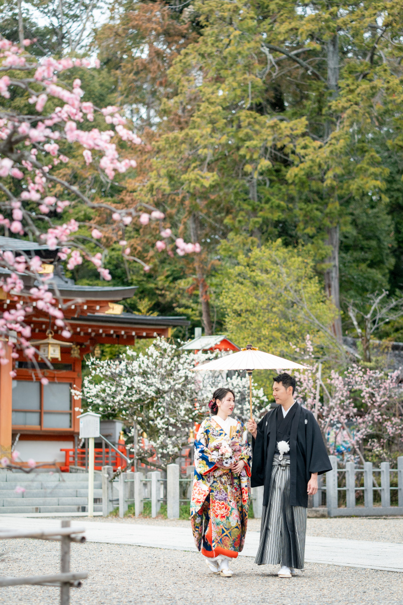 10月なりました！　3月は河津桜プラン