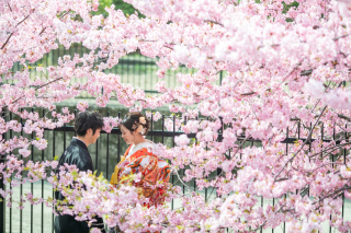 河津桜撮ろう！