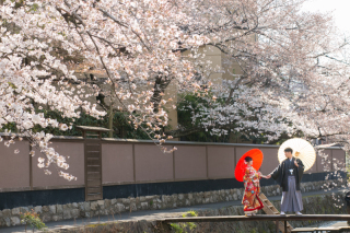 2020年春の桜予約 始まっております!12月末までに成約で割引キャンペーン