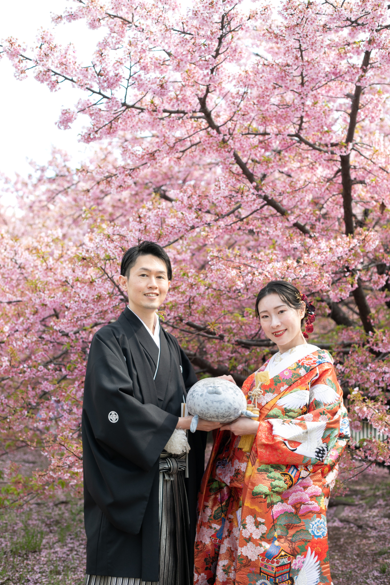 3月の河津桜 または梅
